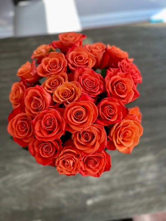 Premium Orange Roses